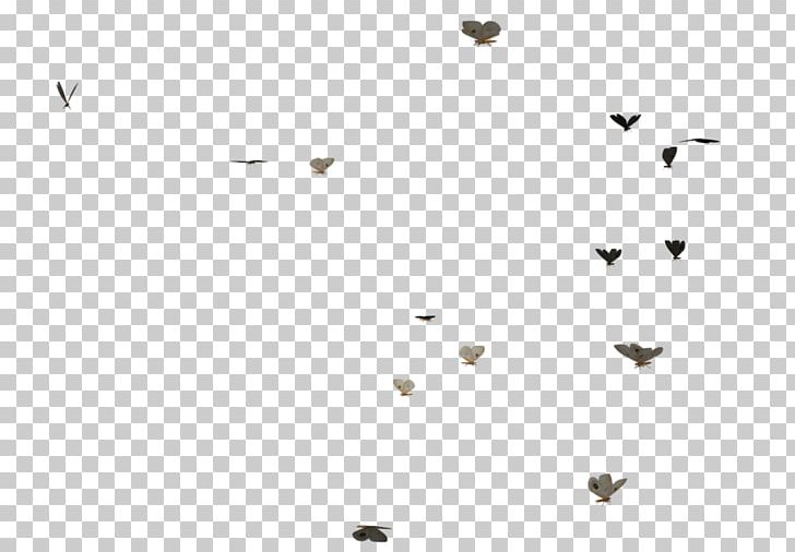 Line Black And White Angle Point PNG, Clipart, Angle, Animals, Area, Black, Black And White Free PNG Download