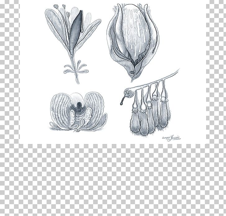 Visual Arts Drawing Sketch PNG, Clipart, Art, Articles For Daily Use, Artwork, Black And White, Drawing Free PNG Download