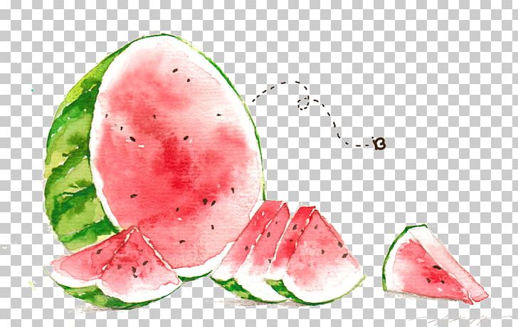Watermelon Watercolor Painting Illustration PNG, Clipart, Auglis, Big, Big Ben, Big Burger, Big Cock Free PNG Download