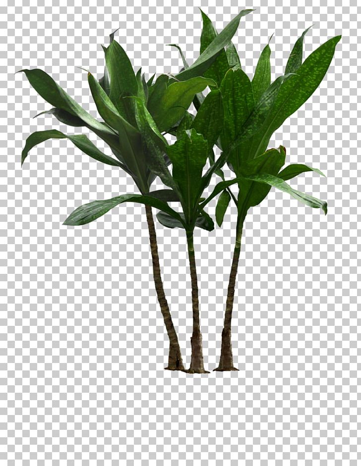 Houseplant Flowerpot Palm Trees Plants PNG, Clipart, Areca Palm, Flowerpot, Grasses, Herb, Houseplant Free PNG Download
