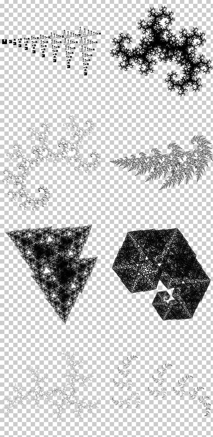 Fractal Mathematics Enneper Surface Fraenkel Gallery PNG, Clipart, Algorithm, Angle, Art, Biology, Black And White Free PNG Download