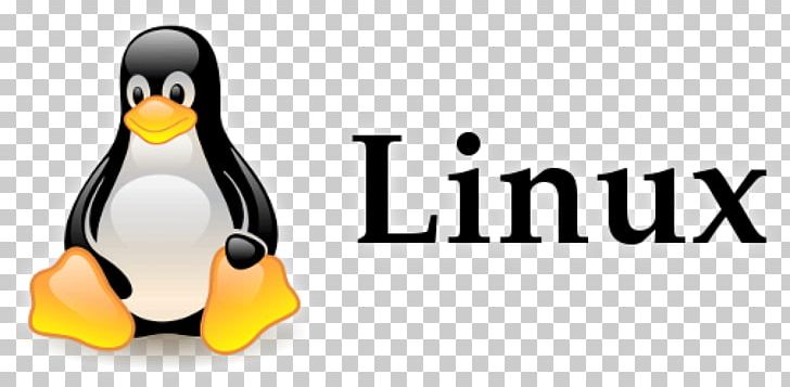 Linux Kernel Operating Systems Free And Open-source Software Unix-like PNG, Clipart, Beak, Bird, Brand, Commandline Interface, Computer Free PNG Download