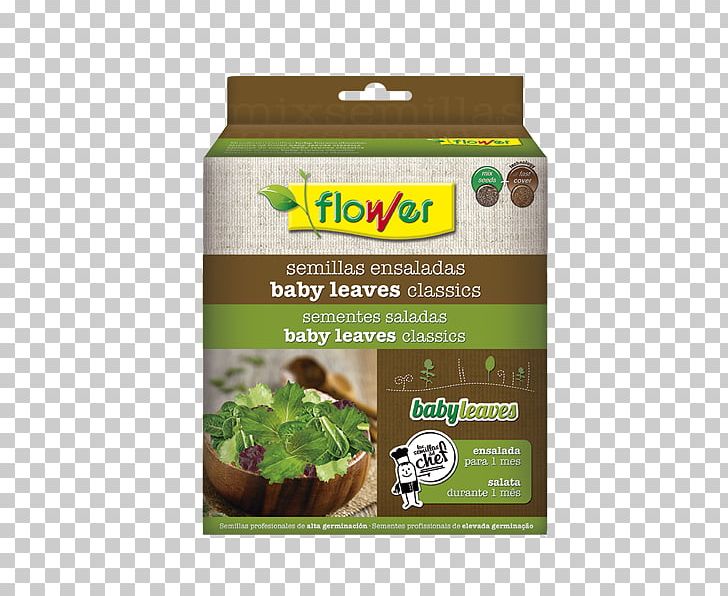 Salad Mesclun Lettuce Leaf Seed PNG, Clipart, Flower, Garden, Infant, Leaf, Leaf Vegetable Free PNG Download