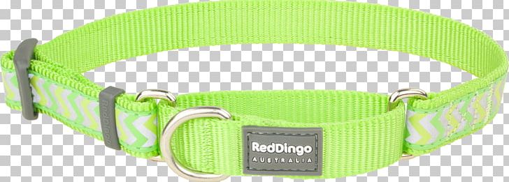 Belt Buckles Dog Collar Dingo PNG, Clipart, Belt Buckle, Belt Buckles, Buckle, Collar, Dingo Free PNG Download