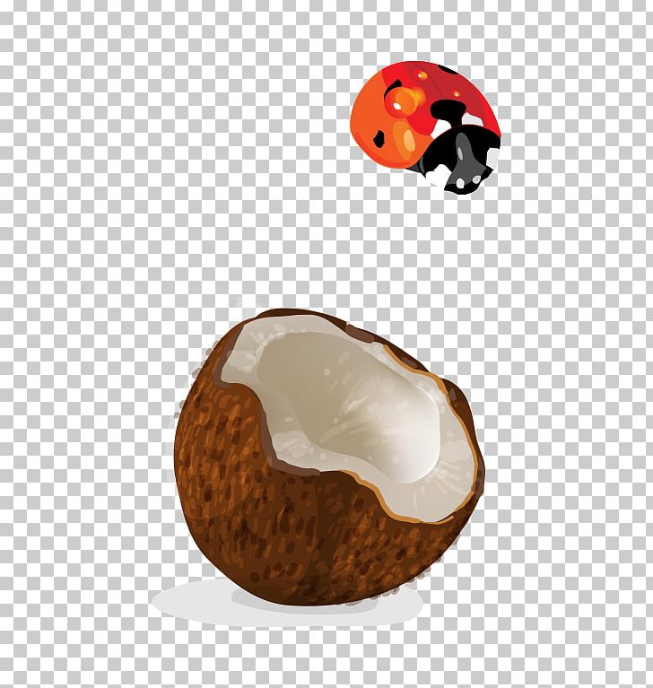 Coconut PNG, Clipart, Adobe Illustrator, Artworks, Cartoon, Coconut, Coconut Leaf Free PNG Download