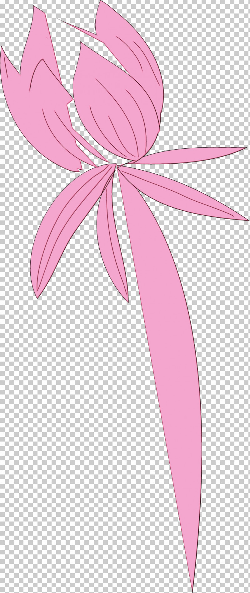 Pink M Fairy Line Flower Plants PNG, Clipart, Biology, Fairy, Flower, Line, Paint Free PNG Download