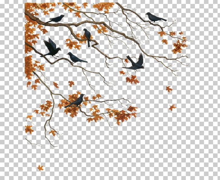 Bird Tree Autumn Hijab Flight PNG, Clipart, Animals, Art, Autumn, Beak, Bird Free PNG Download