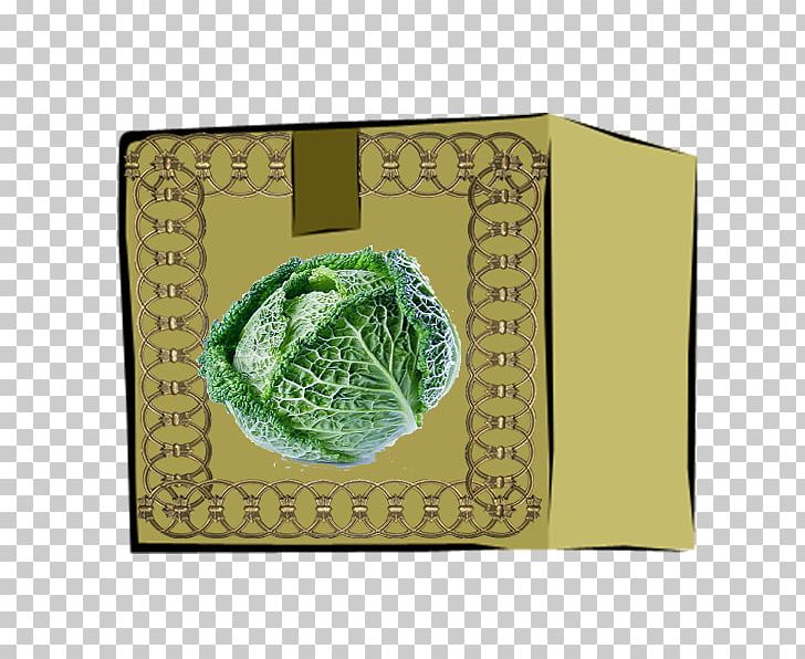 Green Designer Computer File PNG, Clipart, Box, Cabbage, Carton, Concepteur, Designer Free PNG Download