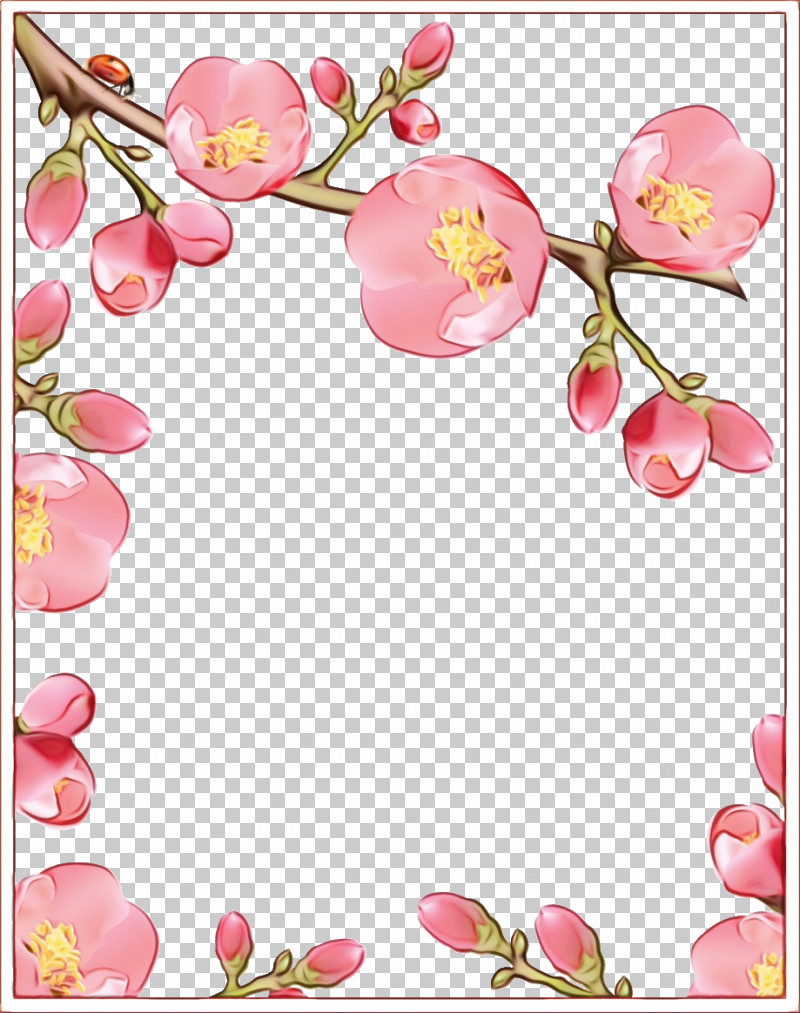 Cherry Blossom PNG, Clipart, Blossom, Branch, Cherry Blossom, Floral Rectangular Frame, Flower Free PNG Download