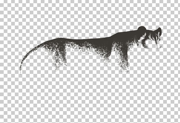 Big Cat Dog Canidae Puma PNG, Clipart, Animals, Big Cat, Big Cats, Black, Black And White Free PNG Download