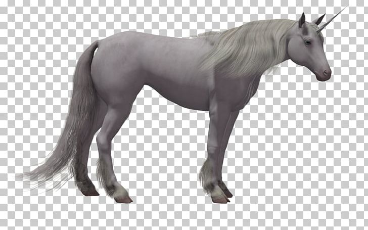 Horse Stallion Colt Pony Foal PNG, Clipart, Animal Figure, Animals, Background, Colt, Computer Icons Free PNG Download