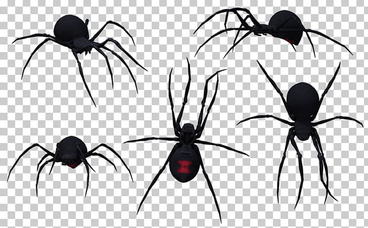 Southern Black Widow Redback Spider Black Widow Spider PNG, Clipart, Animals, Arachnid, Arthropod, Black And White, Black Widow Free PNG Download