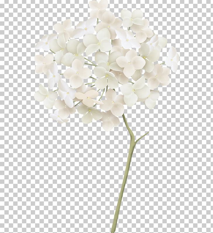 White French Hydrangea PNG, Clipart, Computer Icons, Cornales, Cut Flowers, Download, Drawing Free PNG Download