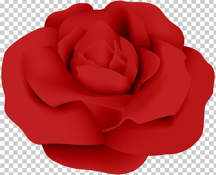 Garden Roses Red Petal PNG, Clipart, Clip Art, Clipart, Closeup, Family, Flower Free PNG Download