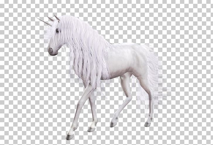 Horse Unicorn PNG, Clipart, Animal Figure, Animals, Background, Clip Art, Computer Icons Free PNG Download