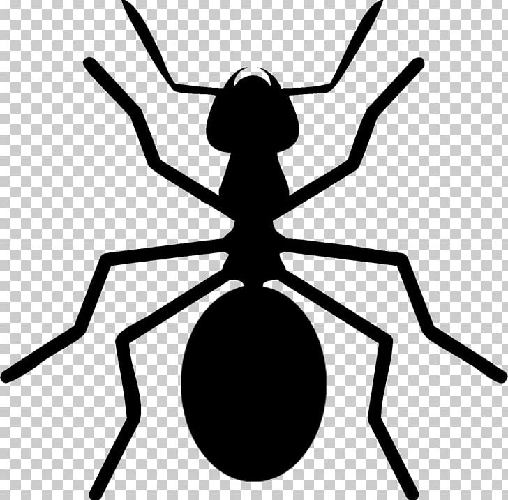 Ant Colony Insect Arthropod PNG, Clipart, Animal, Animals, Ant, Ant Clipart, Ant Colony Free PNG Download