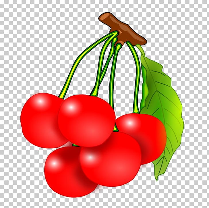 Fruit PNG, Clipart, Apple, Bush Tomato, Cherry, Download, Flowering Plant Free PNG Download