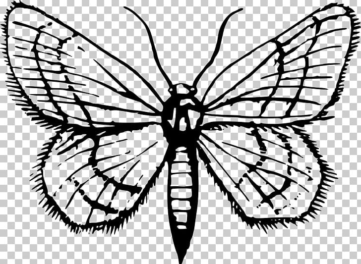 Monarch Butterfly Pieridae Brush-footed Butterflies PNG, Clipart, Animal, Arthropod, Artwork, Black And White, Brush Footed Butterfly Free PNG Download