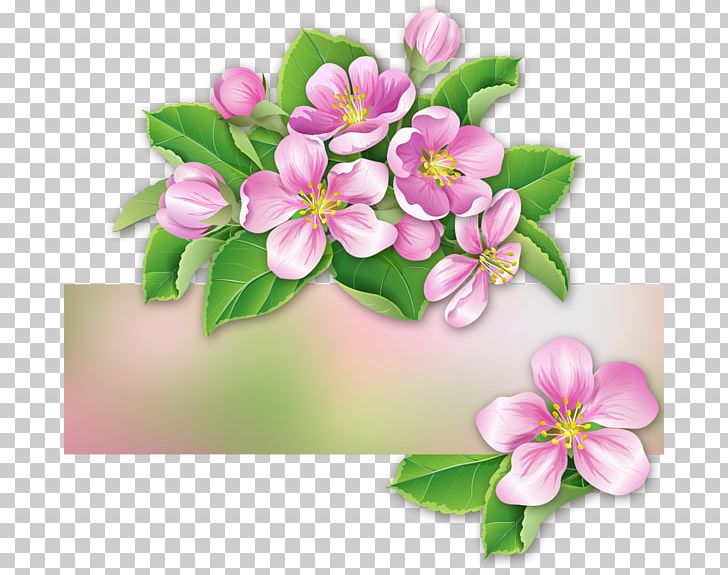 The Plum Blossoms Blog Idea PNG, Clipart, Art, Blog, Blossom, Branch, Centerblog Free PNG Download