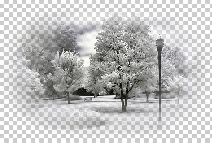 winter scene clipart black and white