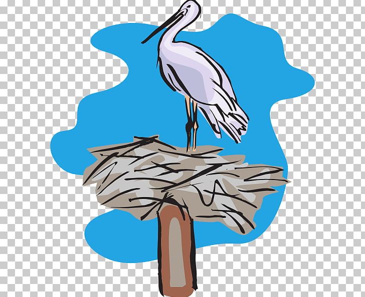 Bird Pelican PNG, Clipart, Animals, Artwork, Beak, Bird, Bird Nest Free PNG Download
