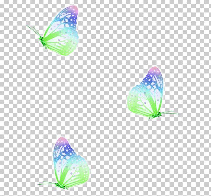 Butterfly Love Desktop Friendship PNG, Clipart, Anatomy, Butterflies And Moths, Butterfly, Desktop Wallpaper, Friendship Free PNG Download