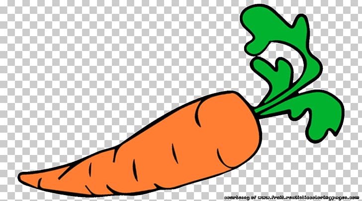 Carrot Auglis Vegetable PNG, Clipart, Animaatio, Area, Artwork, Auglis, Carrot Free PNG Download