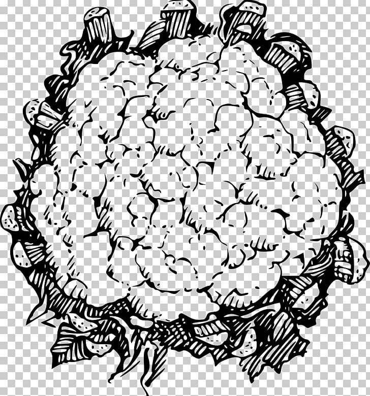 Cauliflower Line Art PNG, Clipart, Artwork, Black And White, Broccoli, Cauliflower, Circle Free PNG Download