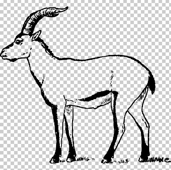 Iberian Peninsula Pyrenean Ibex Goat Portuguese Ibex Extinction PNG, Clipart, Animals, Cow Goat Family, Deer, Fauna, Goats Free PNG Download