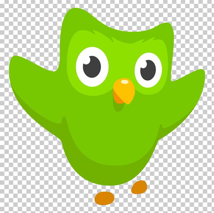 Duolingo Learning Language Education Language Acquisition PNG, Clipart, Bird, Cartoon, Computer Icons, Duolingo, Education Free PNG Download