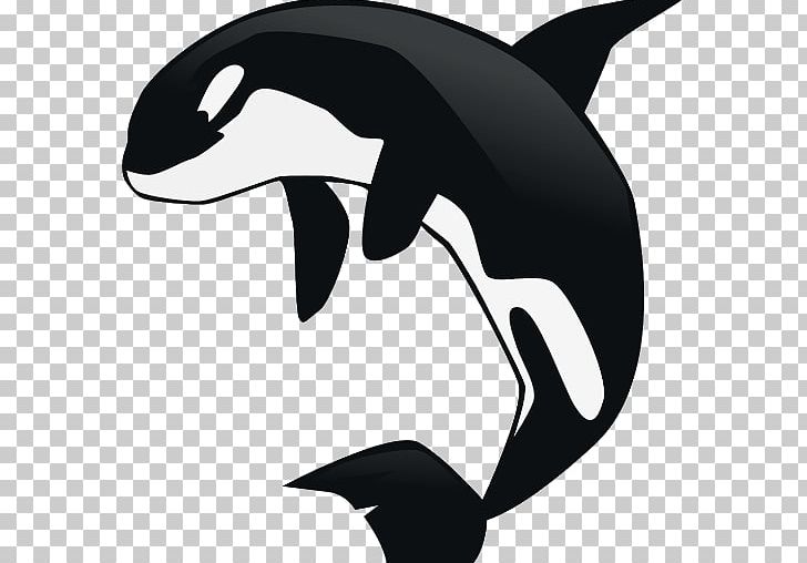Killer Whale Baby Whale PNG, Clipart, Animals, Artwork, Baby Whale, Beak, Black Free PNG Download