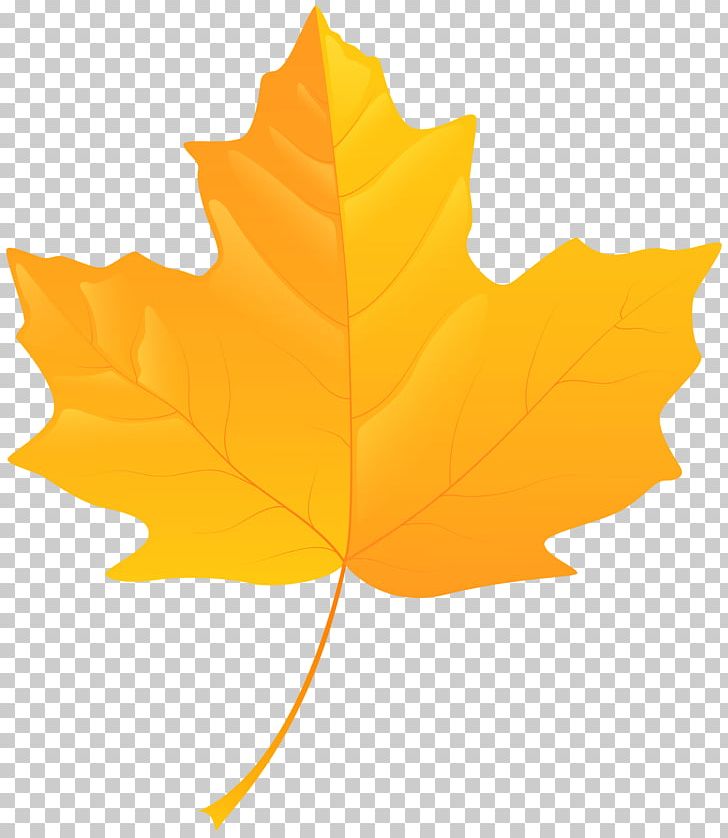 Yellow Autumn Leaf Color PNG, Clipart, Autumn, Autumn Leaf Color, Blog, Clip Art, Color Free PNG Download