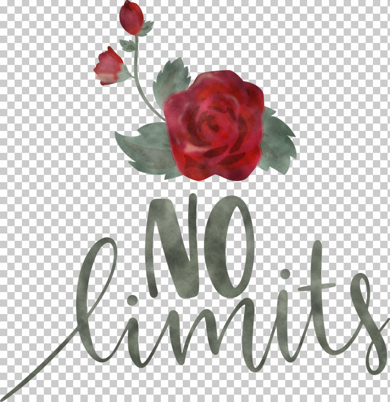 No Limits Dream Future PNG, Clipart, Cut Flowers, Dream, Floral Design, Flower, Future Free PNG Download