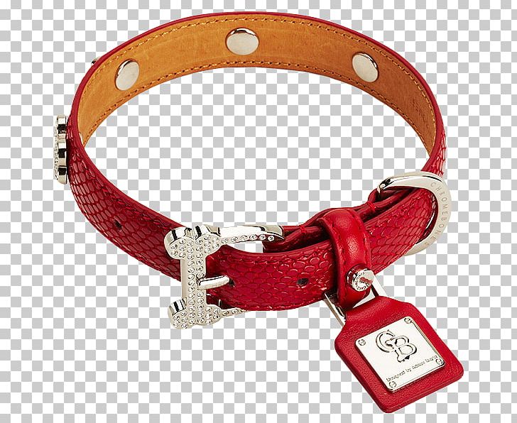 American Pit Bull Terrier Dog Collar Pet Shop PNG, Clipart, Accessory, American Pit Bull Terrier, Belt Buckle, Clothing Accessories, Collar Free PNG Download