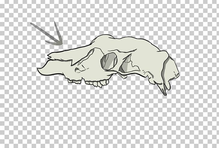 Canidae Cattle Pig Drawing PNG, Clipart, Animals, Artwork, Black And White, Bone, Canidae Free PNG Download