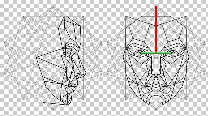 Golden Ratio Face Mathematics Proportionality PNG, Clipart, Artwork, Average, Black And White, Drawing, Eye Free PNG Download