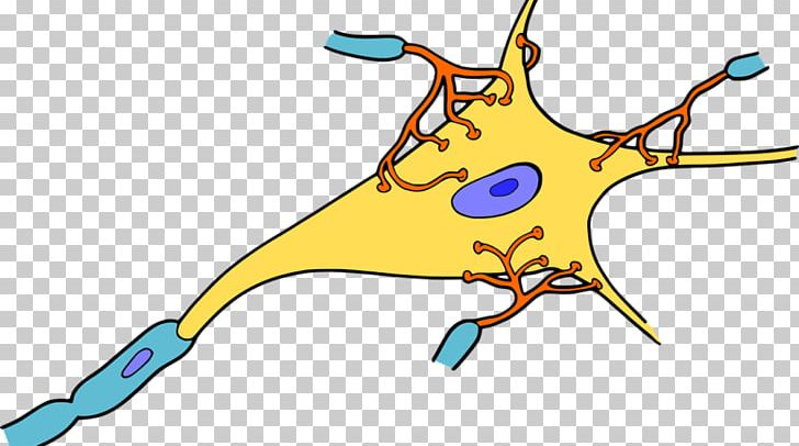Neuron Nervous System Nervous Tissue Synapse Brain PNG, Clipart, Art, Artwork, Beak, Biology, Brain Free PNG Download