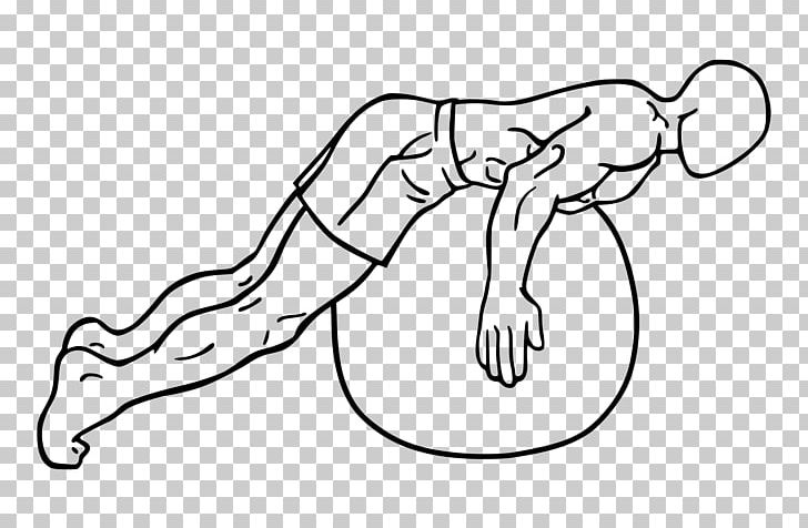 Thumb Hyperextension Erector Spinae Muscles Exercise Balls PNG, Clipart, Arm, Black, Carnivoran, Cartoon, Exercise Free PNG Download