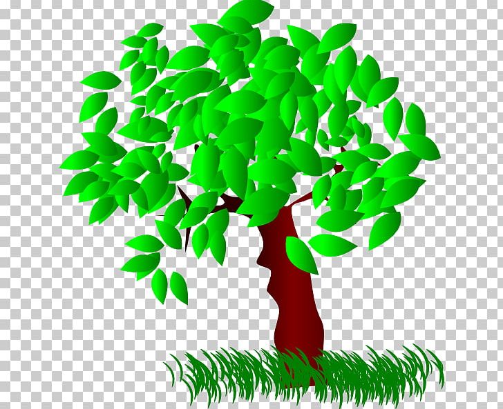 Tree Quercus Bicolor Swamp Spanish Oak Pruning PNG, Clipart, Arboriculture, Branch, Clip Art, Favicon, Flowerpot Free PNG Download