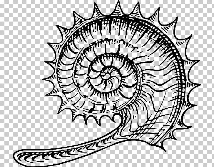 Ammonites Computer Icons Fossil PNG, Clipart, Ammonites, Area, Artwork, Black And White, Circle Free PNG Download