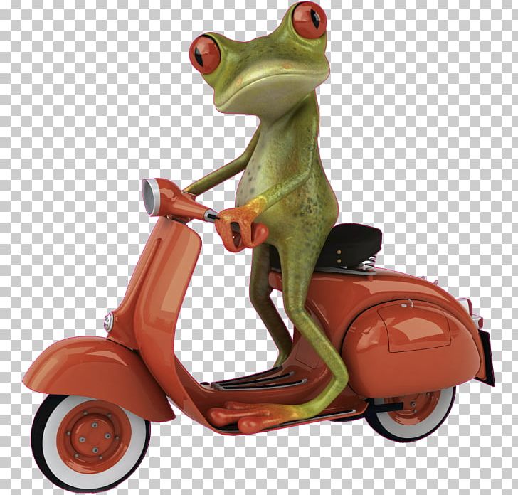 Funny Animal Humour Stock Photography PNG, Clipart, Amphibian, Animated Film, Cartoon, Ce Soir, Frog Free PNG Download