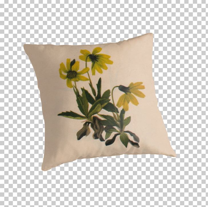 Lake Louise Arnica (Arnica Louisiana) Flower Cushion Throw Pillows United States PNG, Clipart, Americans, Cushion, Flower, Generic Drug, Pillow Free PNG Download