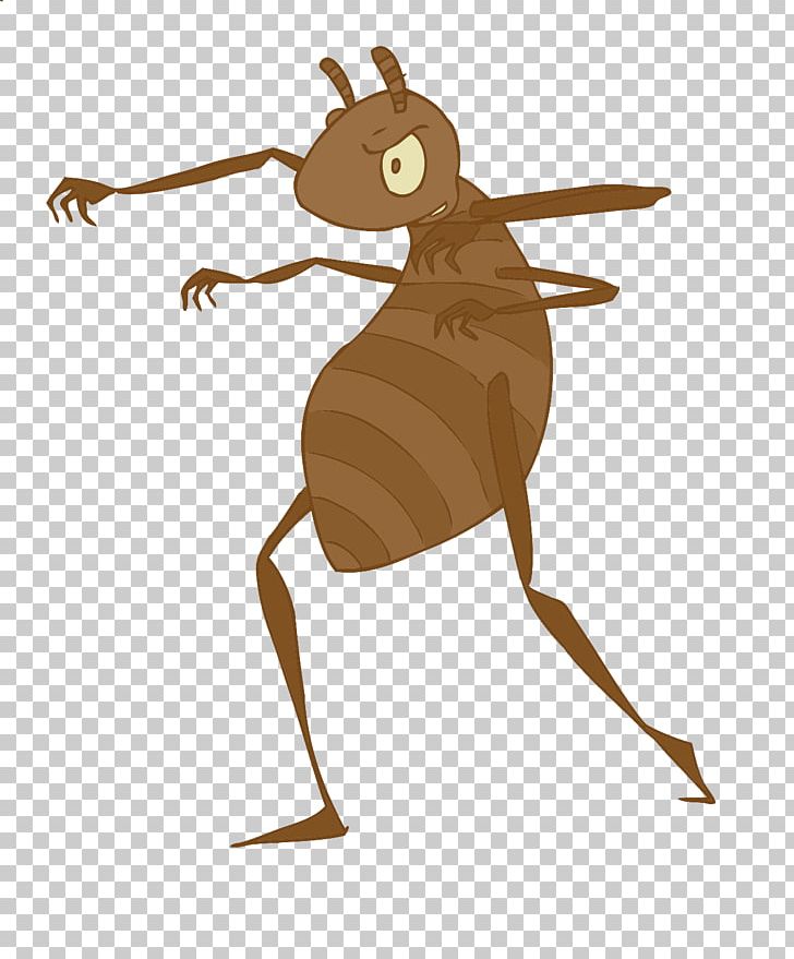 Macropodidae Rodent Insect PNG, Clipart, Animals, Art, Carnivora, Carnivoran, Cartoon Free PNG Download