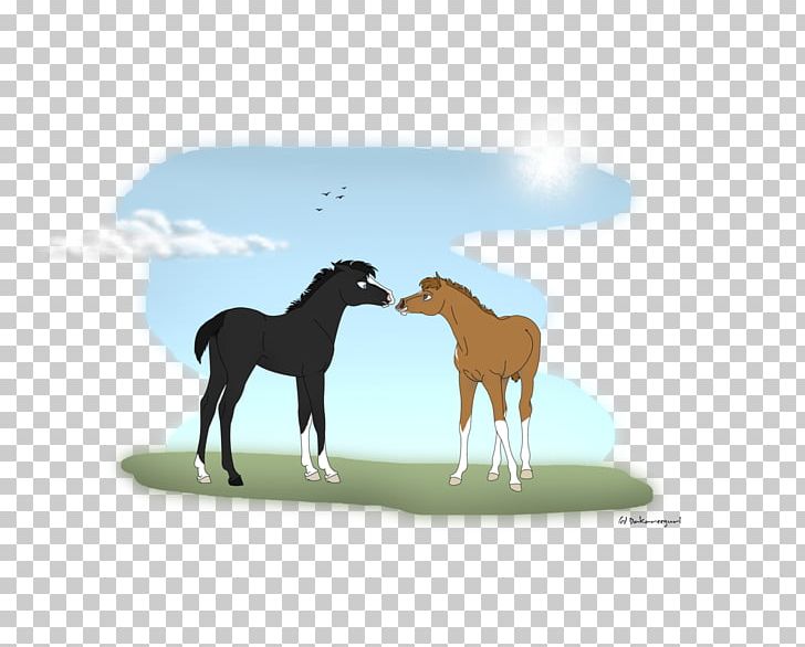 Mustang Foal Stallion Colt Mare PNG, Clipart, Colt, Foal, Grass, Horse, Horse Like Mammal Free PNG Download