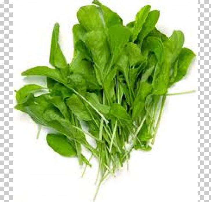Arugula Plant Vegetable Vegetal Green PNG, Clipart, Arugula, Green Plant, Vegetable, Vegetal Free PNG Download