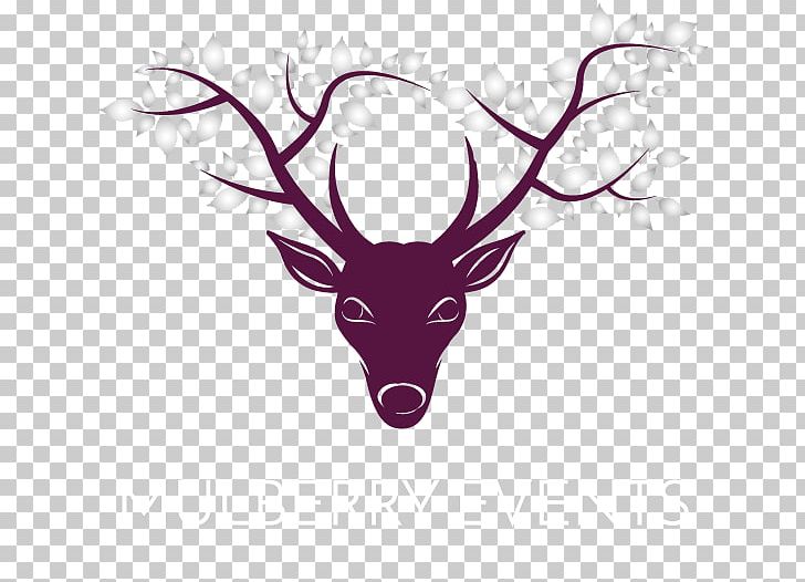 Reindeer Mulberry Events Antler Keymer Buildings Victoria Road PNG, Clipart, Animal, Animals, Antler, Centrepiece, Deer Free PNG Download