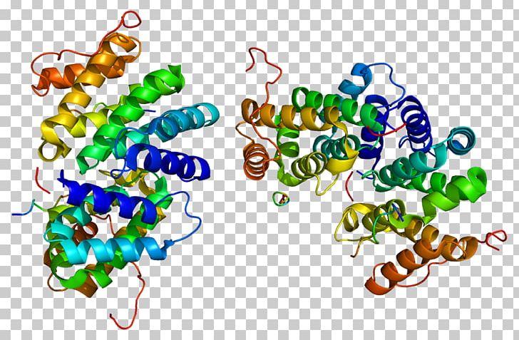 SENP1 GGA3 SUMO Protein Protease PNG, Clipart, Adpribosylation, Adp Ribosylation Factor, Art, Enzyme, Gene Free PNG Download