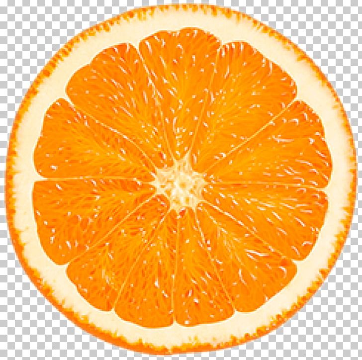 Orange Slice Citrus × Sinensis Stock Photography Color PNG, Clipart, Bitter Orange, Citric Acid, Citrus, Citrus Sinensis, Clementine Free PNG Download