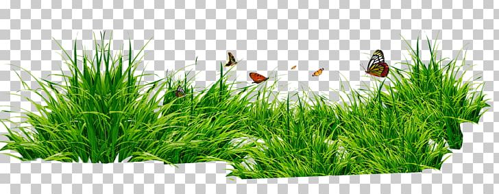 RAR PNG, Clipart, Aquarium Decor, Artificial Grass, Butterflies, Butterfly, Butterfly Group Free PNG Download