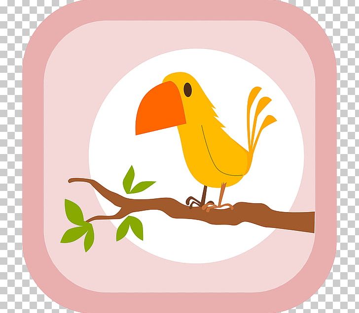 Toucan Parrot Bird Paper Post Cards PNG, Clipart, Animals, Artwork, Beak, Bird, Clothing Free PNG Download